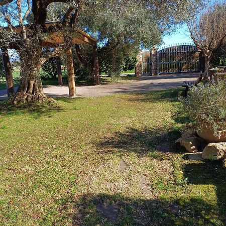 Appartamento Farfollie Pescia Romana Exterior foto