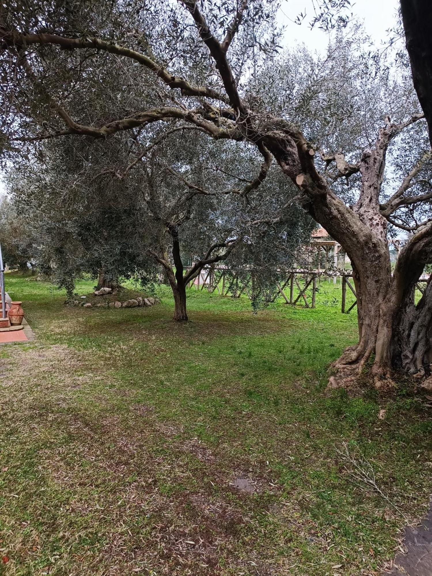 Appartamento Farfollie Pescia Romana Exterior foto